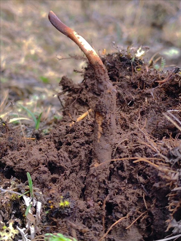 Môi trường tự nhiên