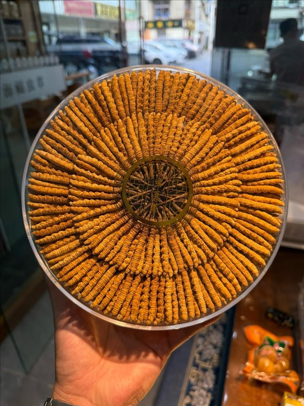 Nghiên cứu trùng rân