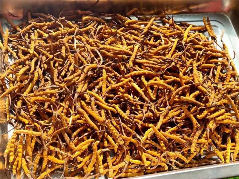 Đóng gói sản phẩm